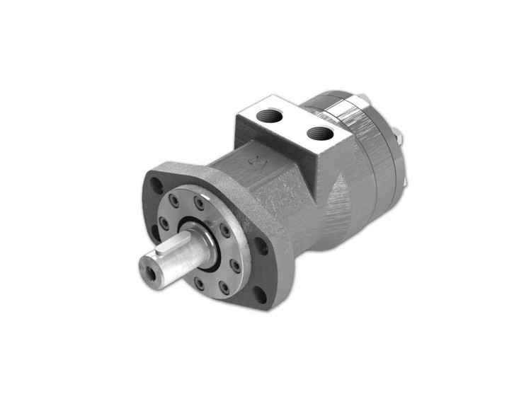 هیدرو موتور RL دانفوس بلغارستان